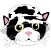 The kitten and its hat