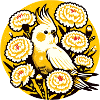 Cockatiel Amid Peony Circle