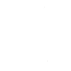 Capybara