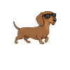 Retirement: I'm now retiring dachshund