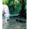 Cascade verte dans la forêt