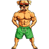 Hunde Fitness 6-Pack