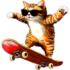 Cat Skateboard