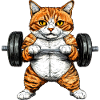 Cat Fitness