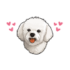 Pyjama Poils de Bichon