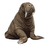 Walrus cartoon in shades of brown