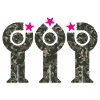 Camouflage Minis with Pink Stars