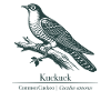 Cuckoo Silhouette | Ornithology | Drawing