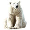 Polarbär im Eislicht