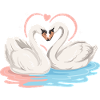 Swan heart in water couple