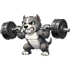 Pitbull Weightlifting Bodybuilder Powerlifting Gym