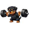 Rottweiler Weightlifting Barbell Training Workout