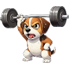 Entraînement de fitness Beagle avec haltères