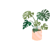 American Flag Plant Lover Plants