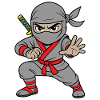 Grey Ninja Shadow Warrior 