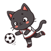 Black Footballer Kitten In Jersey