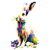 Bjergkanin Arktisk Hare Albino Kanin Hvid Kanin