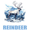 Reindeer Reindeer