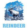 Reindeer Reindeer