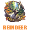 Reindeer Reindeer