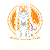 Tiger Class Unlocked | Tigerpower