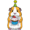 Cupcake d’anniversaire cochon d’Inde