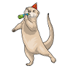Otter Birthday Toad