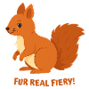 Fire Squirrel