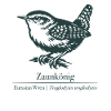 Wren Silhouette | Ornithology | Drawing