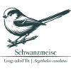Long-tailed Silhouette | Ornithology | Drawing