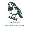 Robin Silhouette | Ornithology | Drawing