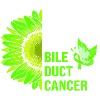 Bile Cancer