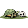 Turtle and football