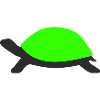 Drawn Turtle