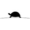 Turtle Silhouette