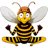 Yoga Bee