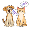 Plan Duo Pets vs Pas Fonctionne