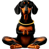 Yoga Dackel