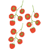 Tomato Bush Impressionism