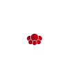 Schwarzwaldmädel Bollenhut Schwarzwald Grunge