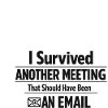 I Survived Another Meeting