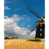 Mill among golden fields