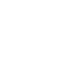 Pilates like sport – harder