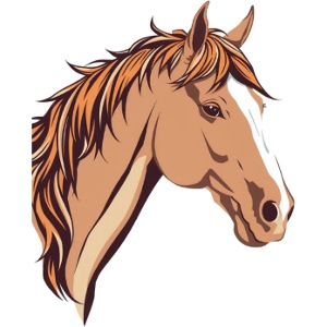 Regalo di Horse Head per il Cavaliere