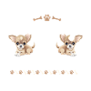Chihuahua Chihuahueño Introverted