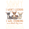 Chihuahua Chihuahueño Sorry I
