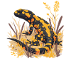 Fire Salamander Salamander