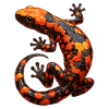 Feuersalamander Salamander