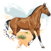 Ein Akhal-Téké-Pferd im Herzen