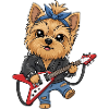 Punk Yorkie with guitar